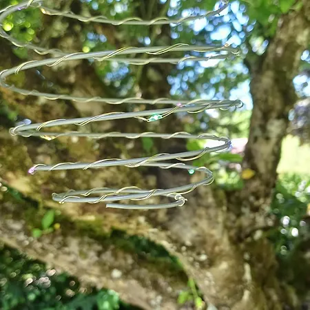 Σπίτι διακοπών La Maison Des Doux Souvenirs Les Riceys