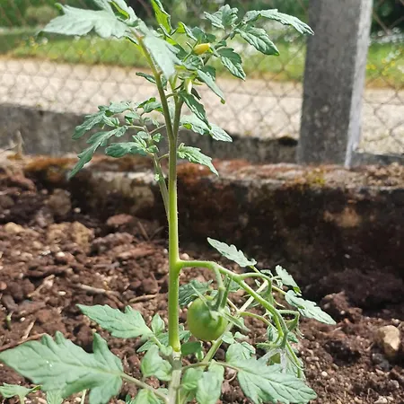 別荘 La Maison Des Doux Souvenirs レ・リセ