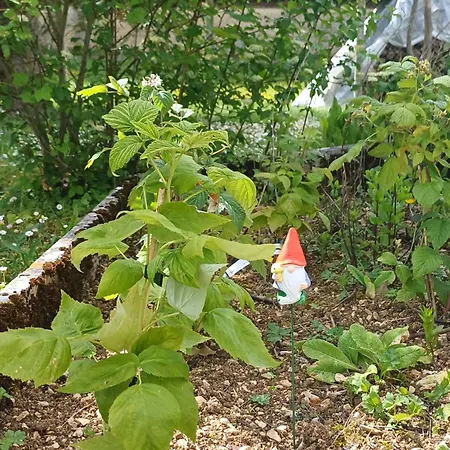 La Maison Des Doux Souvenirs Nyaraló Les Riceys