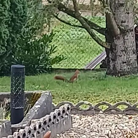 Сasa de vacaciones La Maison Des Doux Souvenirs *