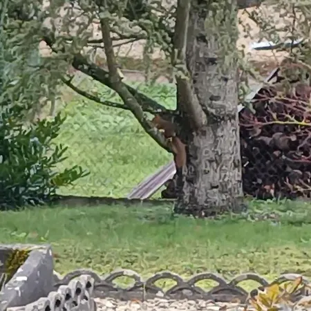 Сasa de vacaciones La Maison Des Doux Souvenirs *