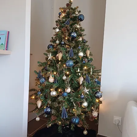 Сasa de vacaciones La Maison Des Doux Souvenirs Les Riceys