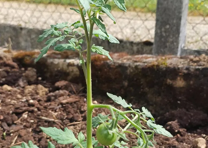 Casa vacanze La Maison Des Doux Souvenirs Les Riceys