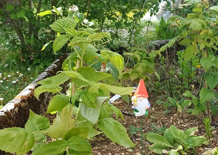 La Maison Des Doux Souvenirs Casa vacanze Les Riceys