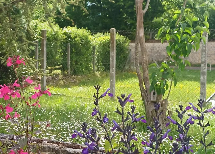 La Maison Des Doux Souvenirs Casa vacanze *