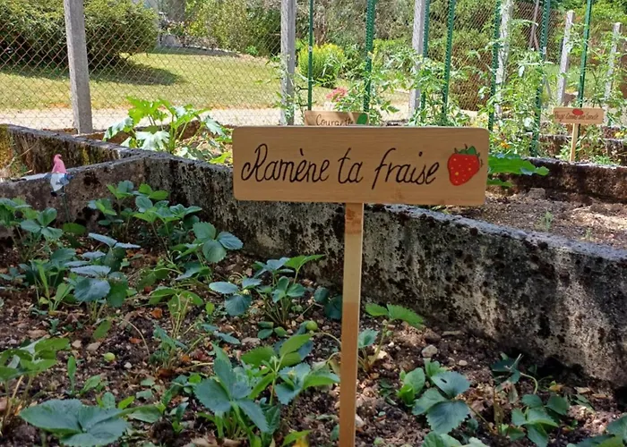 La Maison Des Doux Souvenirs