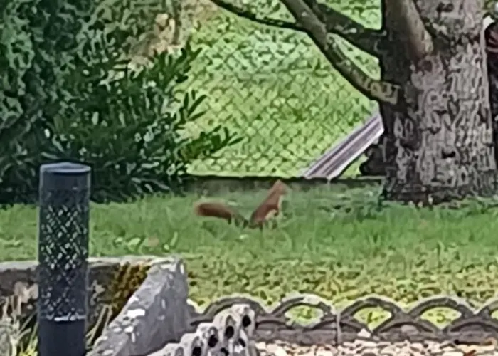 Casa vacanze La Maison Des Doux Souvenirs *